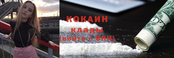 первитин Богданович