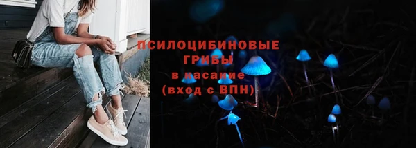 первитин Богданович