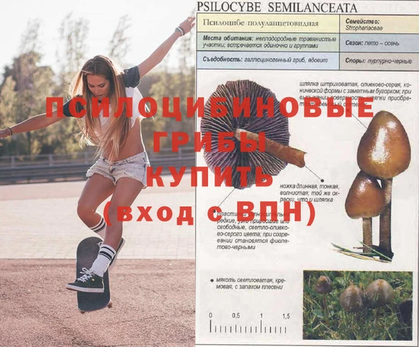 первитин Богданович
