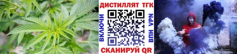 ТГК Wax  Омск 